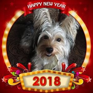 Meet your Posher, Roberta